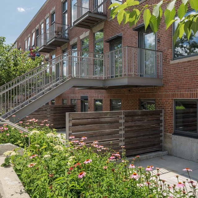 The Wyeth - Apartment Facade and Backyard